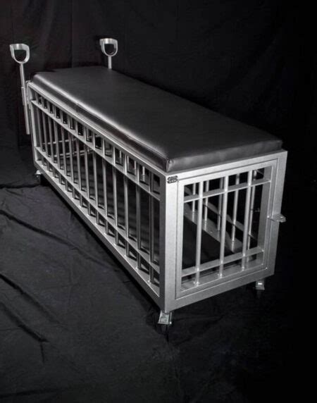 metal bound box|Aluminum Cage with Removable Stirrups: BDSM Furniture.